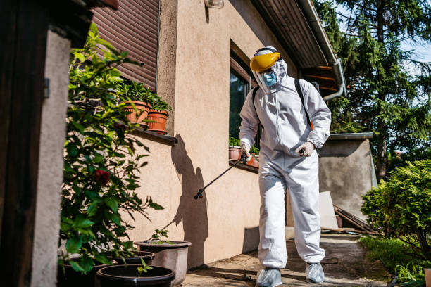 Best Mosquito Control Services  in Tarboro, NC