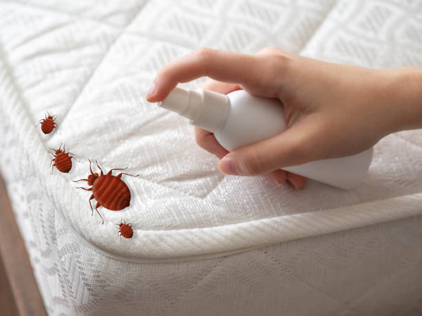 Best Best Pest Control Companies  in Tarboro, NC