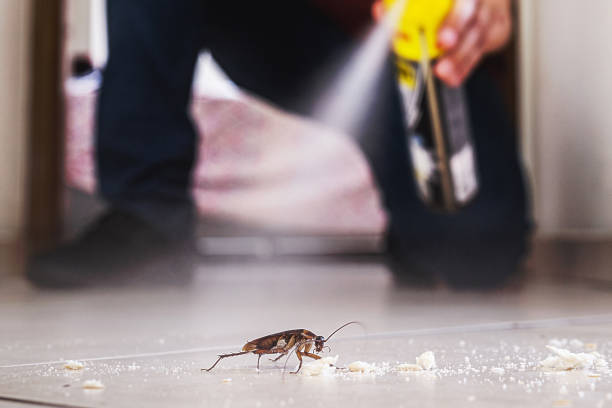 Best Exterminator Services  in Tarboro, NC